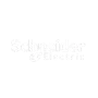 Schneider-Electric-logo