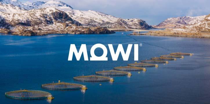 Mowi background image