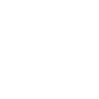 lifetouch lifetouch Logo