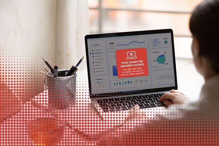 The (D)Evolution of Pikabot A person typing at their computer
