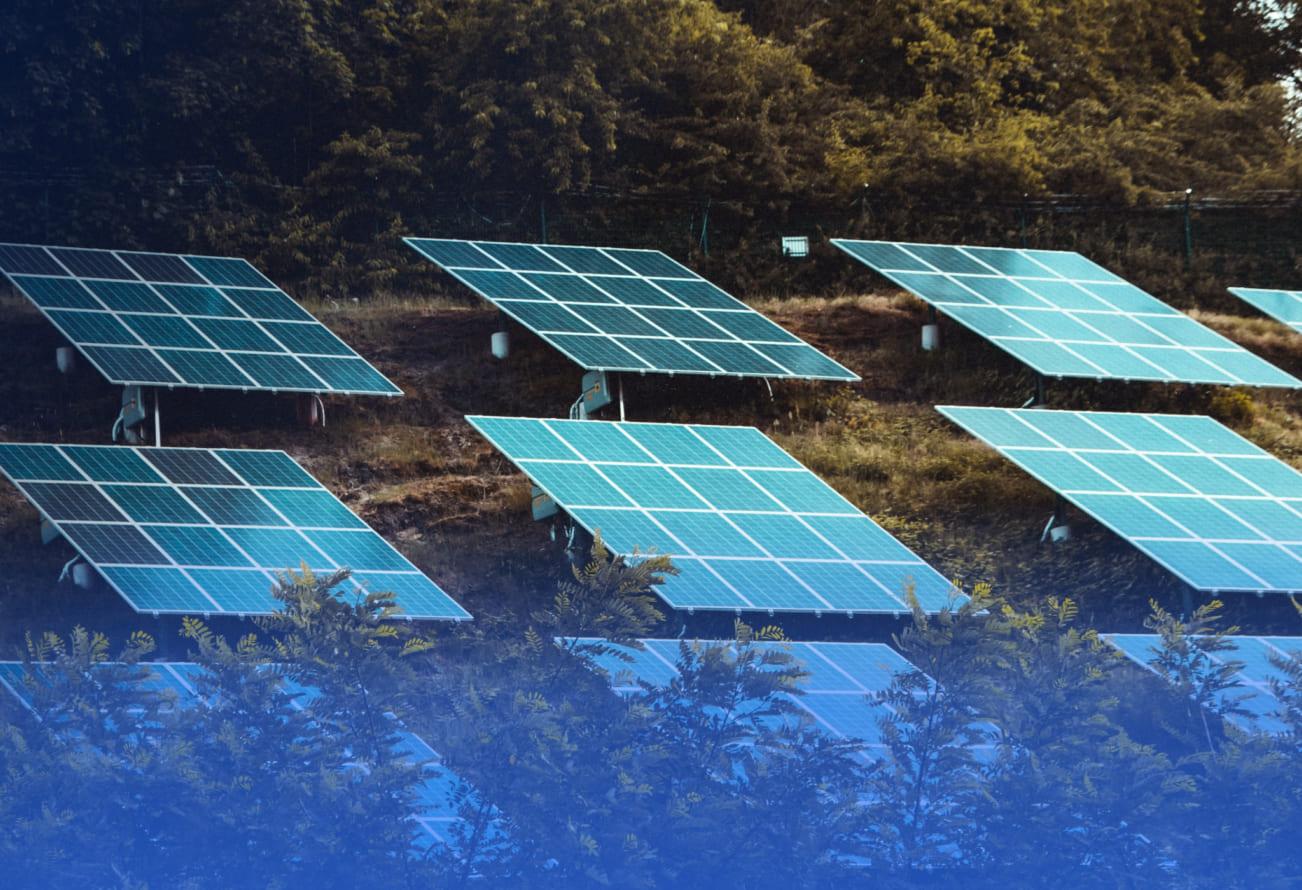 zscaler-customer-success-maxeon