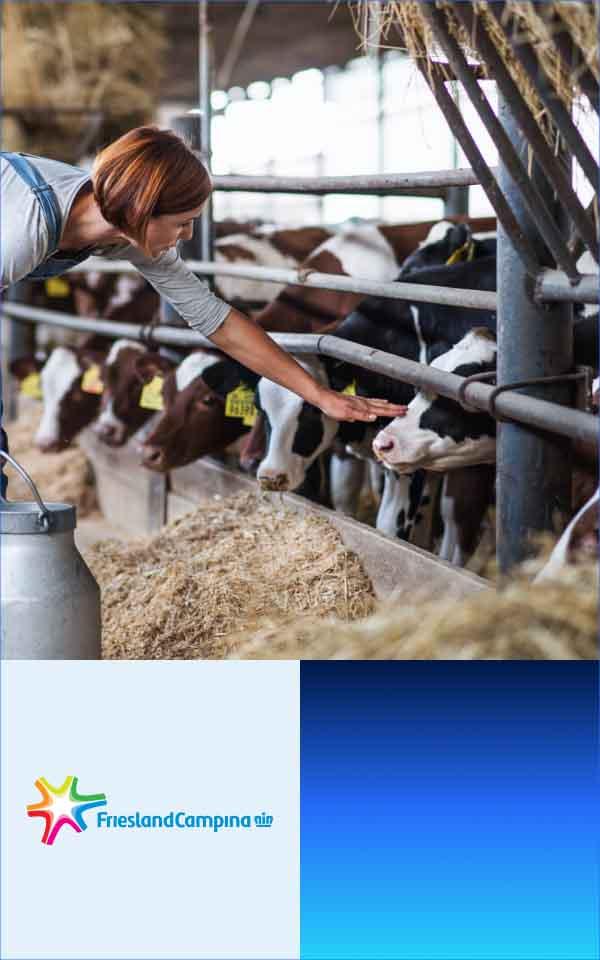Royal FrieslandCampina background image