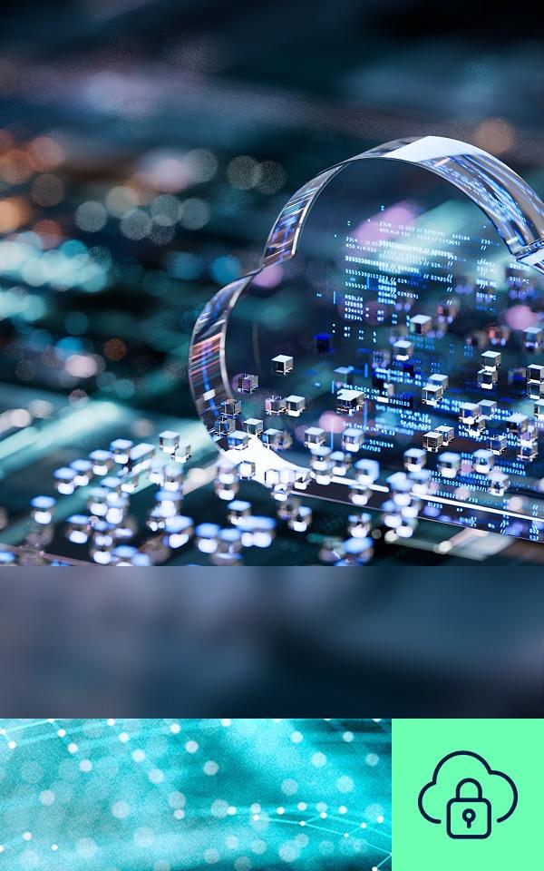 Image représentant une entreprise de sécurité cloud spécialisée dans la segmentation des workloads dans les data centers, les clouds et les VPC/VNET