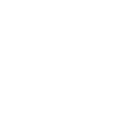 British Insurance British Insurance Logo
