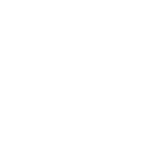 TATA TATA logo