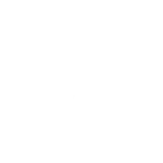 kingfisher kingfisher Logo