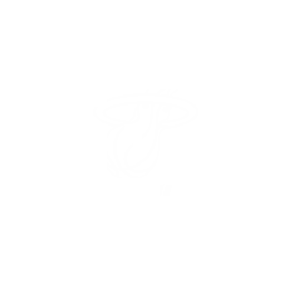 Miami Heat Miami Heat Logo