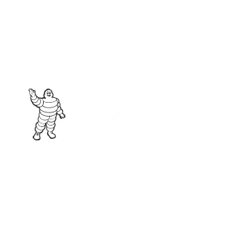 michelin-group michelin-group Logo