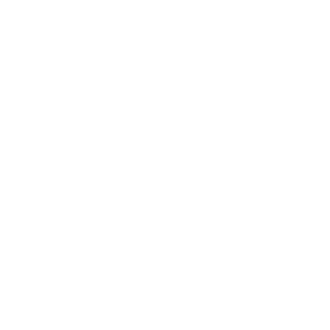 ocean-shipholdings-inc ocean-shipholdings-inc Logo