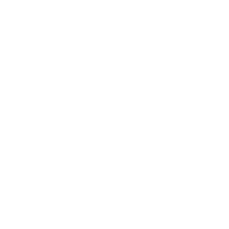 South 32 South 32 Logo