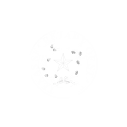 Texas Secretary of Texas Texas Secretary of Texas Logo